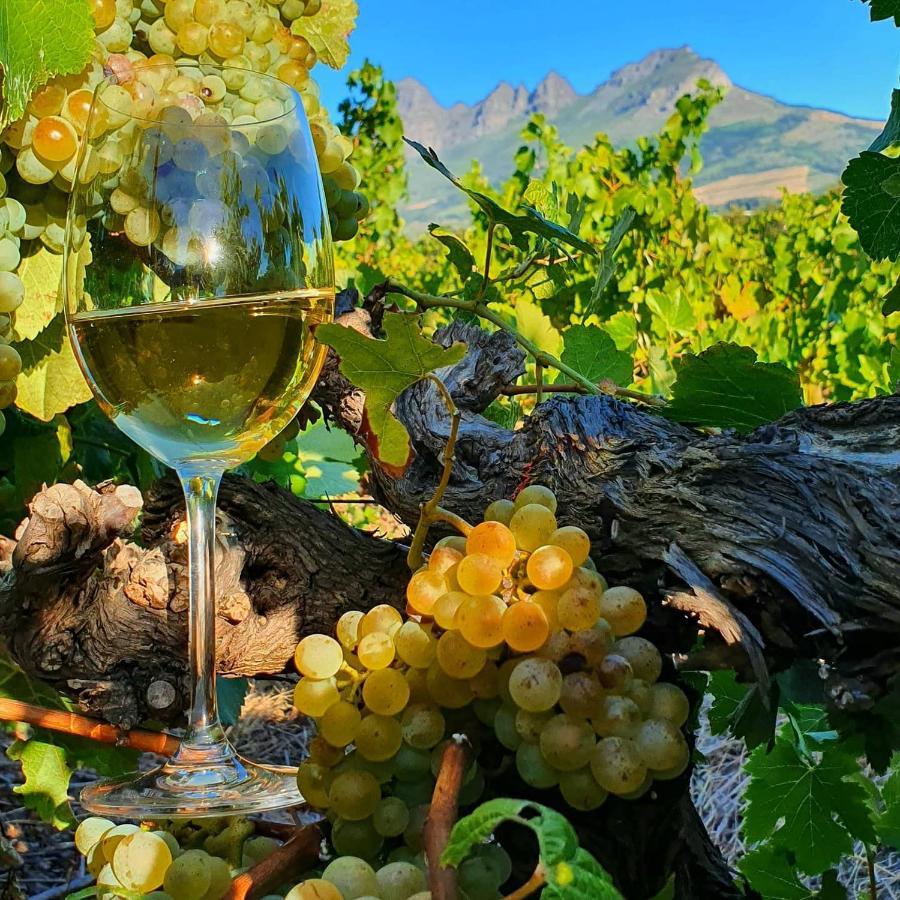 Raithby Winelands Historical Cottage Экстерьер фото
